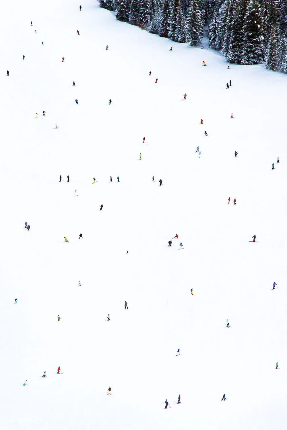 Aspen Skiers Vertical