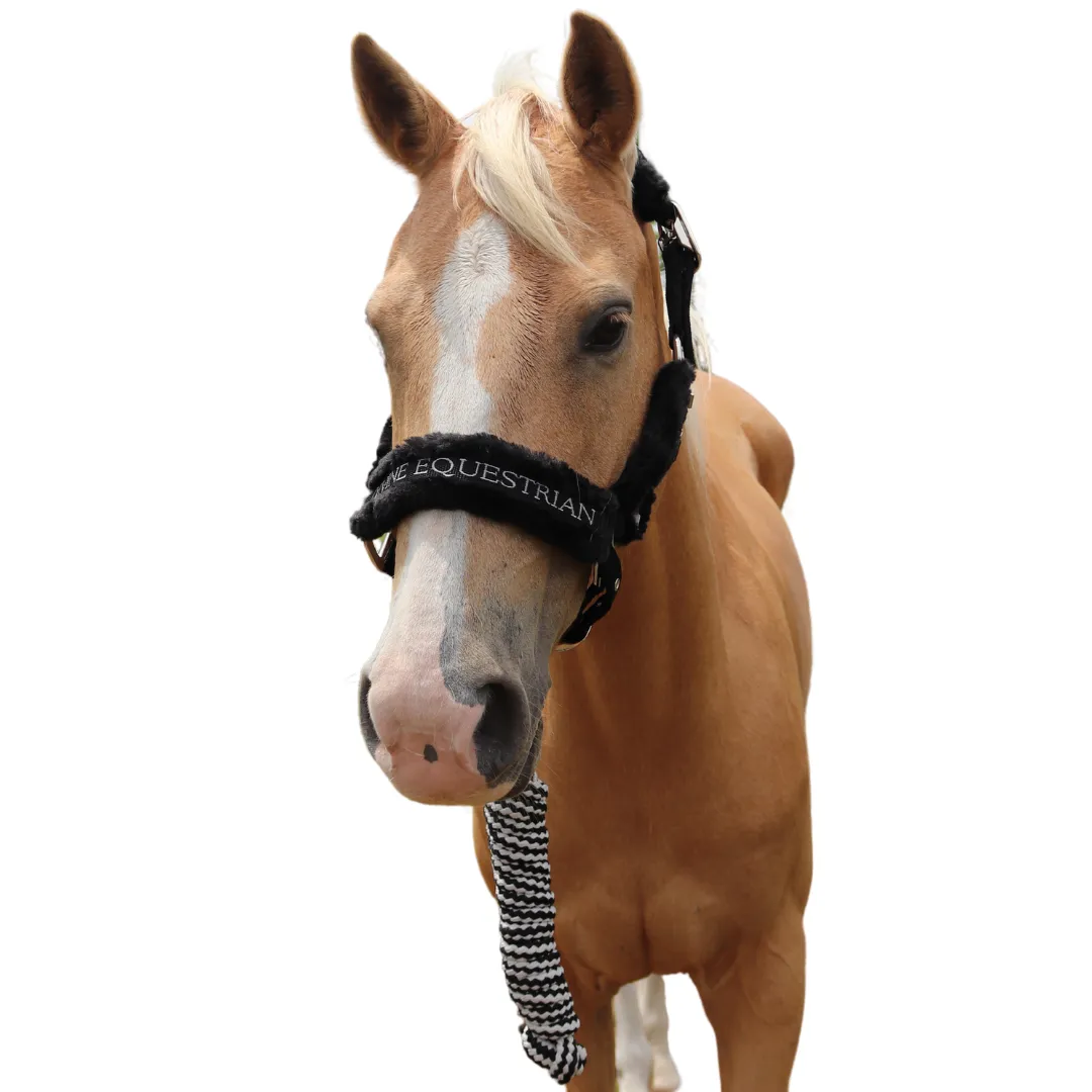 Faithful Faux Fur Halter