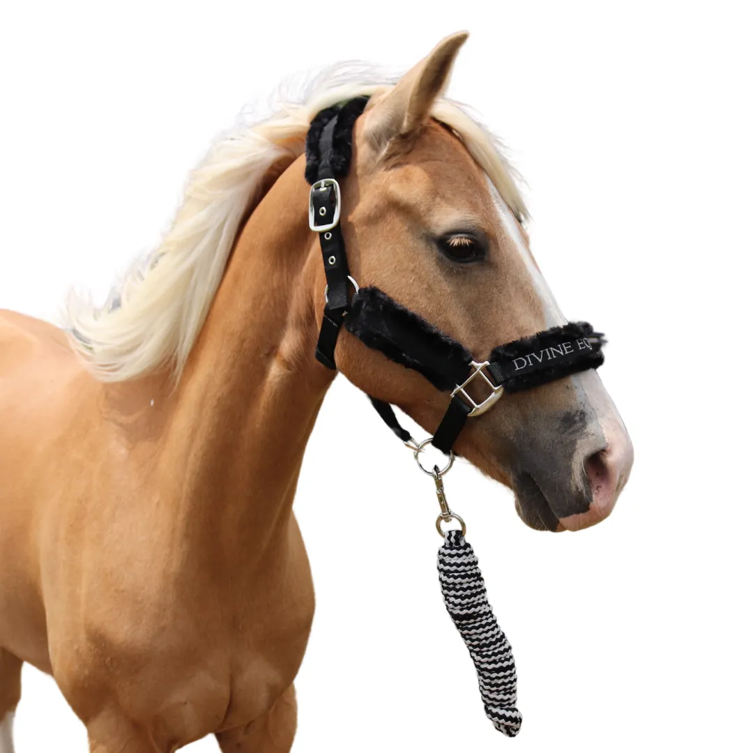 Faithful Faux Fur Halter