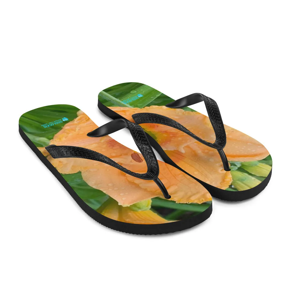 Flip-Flops