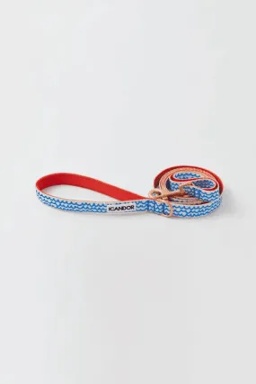 Gentle 2-Handle Dog Leash - Surfrider