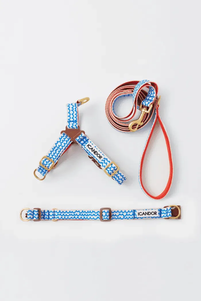 Gentle 2-Handle Dog Leash - Surfrider