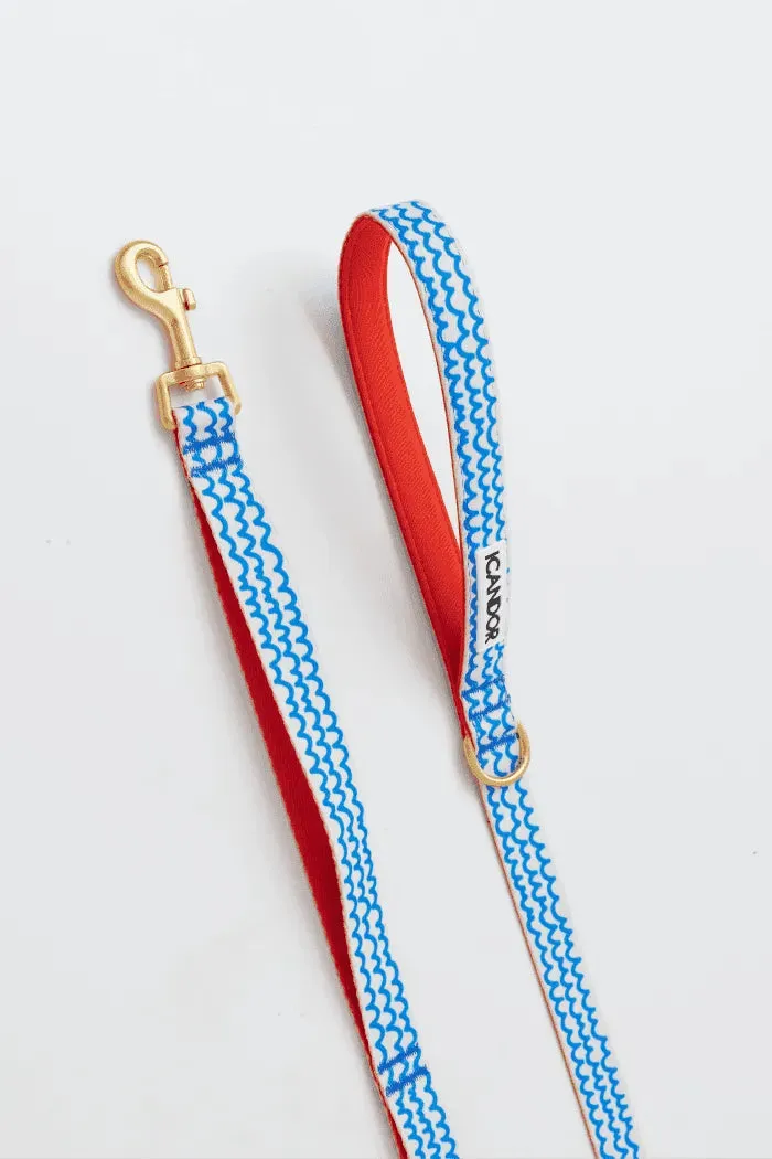 Gentle 2-Handle Dog Leash - Surfrider