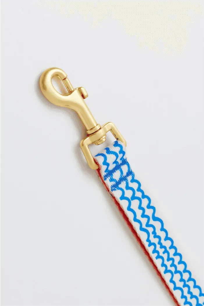 Gentle 2-Handle Dog Leash - Surfrider