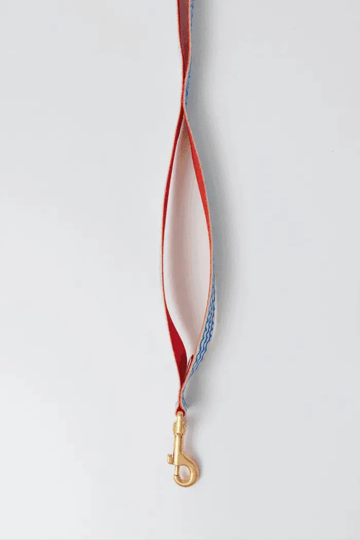 Gentle 2-Handle Dog Leash - Surfrider