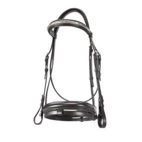 Jeremy & Lord Bridle Hanoverian