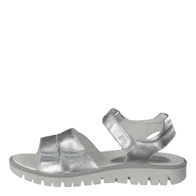 Pax 13824 Argento/argento