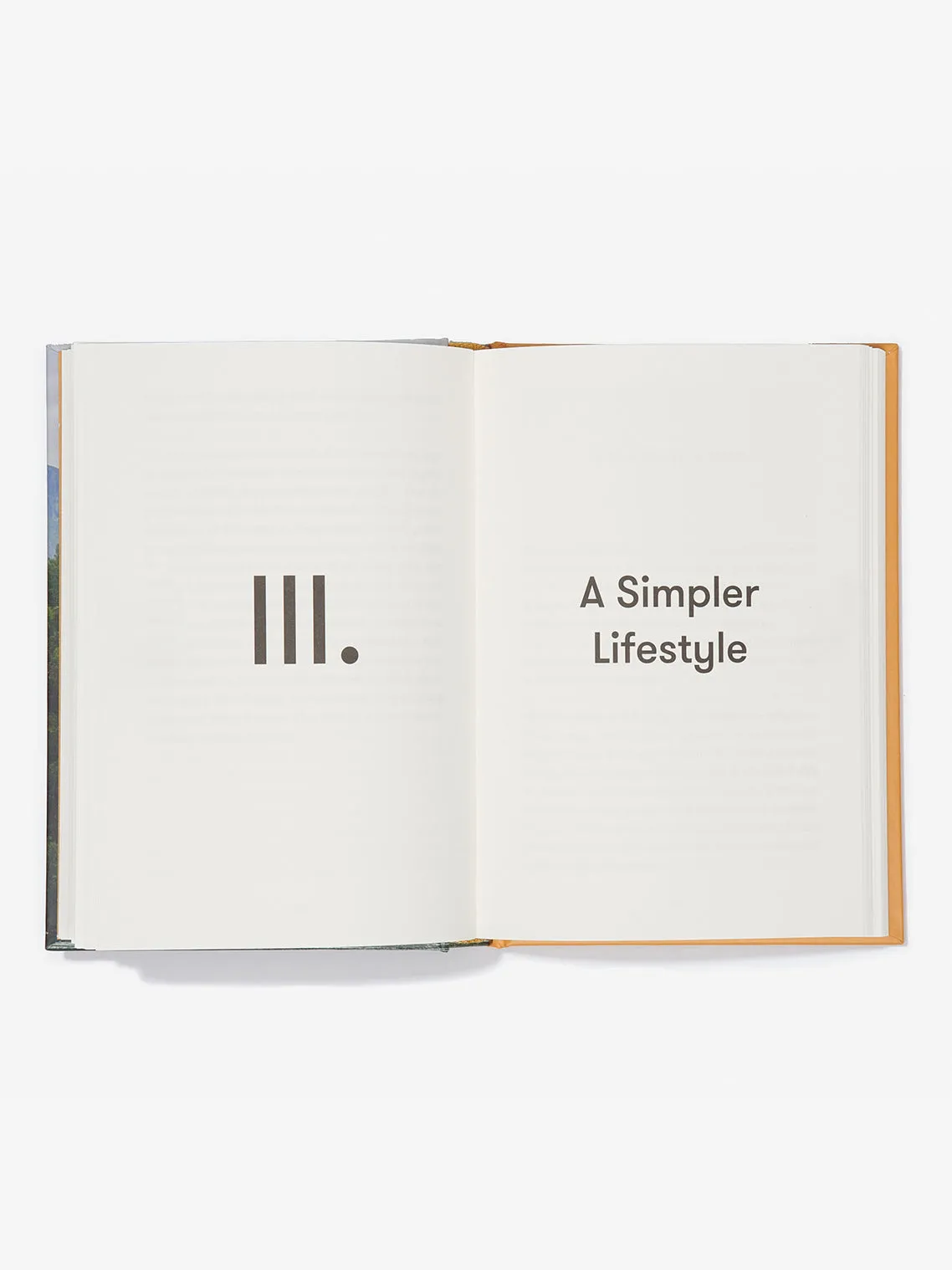 The School of Life A Simpler Life